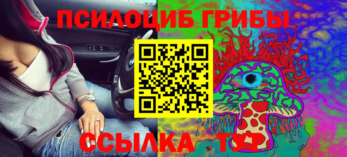 Вязьма  Галлюциногенные грибы Psilocybe  Вход с VPN 